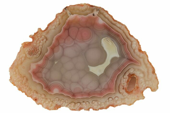 Polished Banded Laguna Agate Slice - Mexico #189358